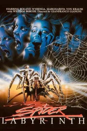 The Spider Labyrinth