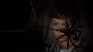 Zasłona do filmu "The Spider Labyrinth" #456259