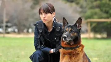 Zasłona do filmu "DOG×POLICE 純白の絆" #1903104
