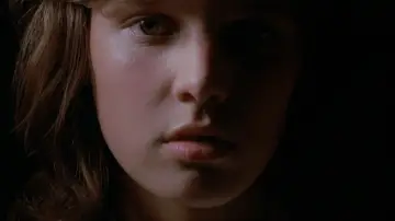 Zasłona do filmu "THE FAN" #1133589