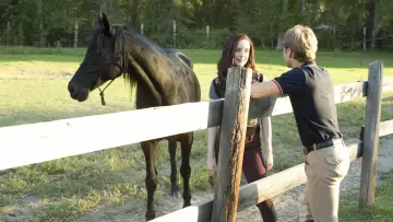 Zasłona do filmu "Flicka 3: Najlepsi przyjaciele" #451863