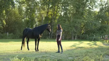 Zasłona do filmu "Flicka 3: Najlepsi przyjaciele" #451865