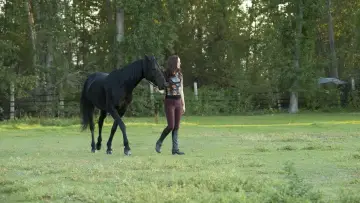 Zasłona do filmu "Flicka 3: Najlepsi przyjaciele" #451867