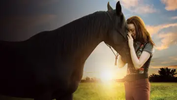 Zasłona do filmu "Flicka 3: Najlepsi przyjaciele" #451868