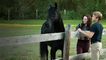 Zasłona do filmu "Flicka 3: Najlepsi przyjaciele" #451870
