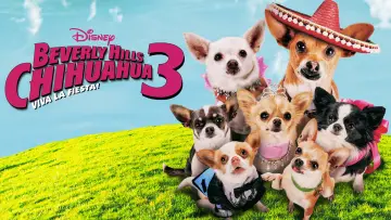 Wideo do filmu Cziłała z Beverly Hills 3 — Beverly Hills Chihuahua 3 - Viva La Fiesta! - Trailer