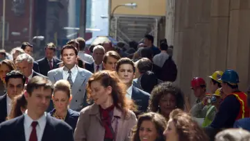 Zasłona do filmu "Wilk z Wall Street" #170113