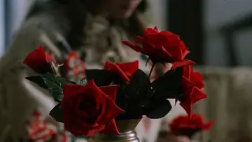 Zasłona do filmu "Dolina Abrahama" #1066018