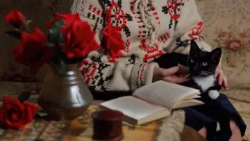 Zasłona do filmu "Dolina Abrahama" #1066021