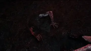 Zasłona do filmu "Martwe zło" #1893378