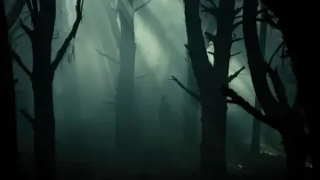 Zasłona do filmu "Martwe zło" #642947