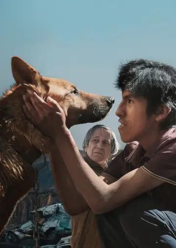 El Ladrón de Perros