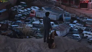 Zasłona do filmu "El Ladrón de Perros" #484428