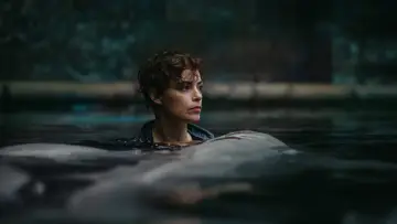 Zasłona do filmu "Rekiny w Sekwanie" #1651262