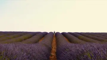 Valensole 1965