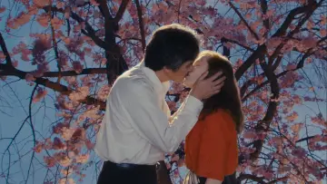 Zasłona do filmu "Sidonie w Japonii" #198203