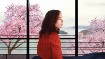 Zasłona do filmu "Sidonie w Japonii" #791951