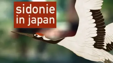 Zasłona do filmu "Sidonie w Japonii" #791952