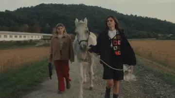 Zasłona do filmu "Amanda" #692715