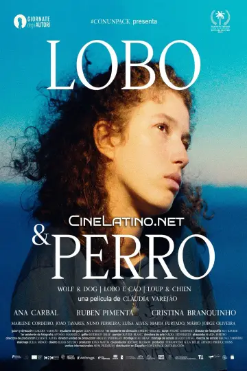 Plakat do filmu "Wilk i pies" #393525