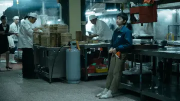 Zasłona do filmu "老狐狸" #467479
