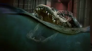 Zasłona do filmu "Aligator" #490778