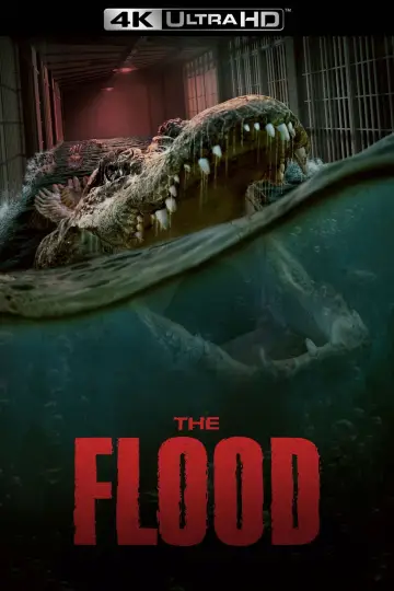 Aligator