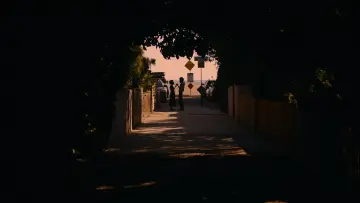 Zasłona do filmu "Lekcja miłości" #933026