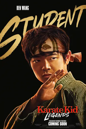 Plakat do filmu "Karate Kid: Legendy" #554586