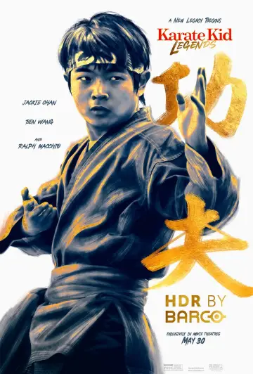 Plakat do filmu "Karate Kid: Legendy" #554614