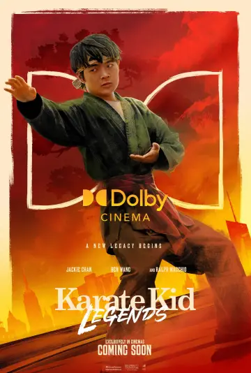 Plakat do filmu "Karate Kid: Legendy" #554642