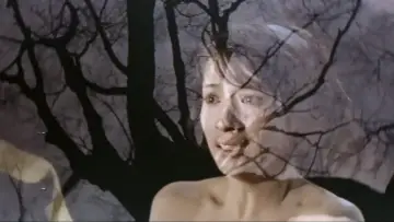Zasłona do filmu "三人の女　夜の蝶" #1619799