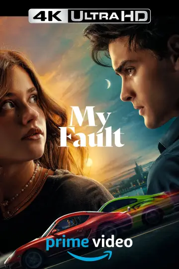 Plakat do filmu "Moja wina" #3984