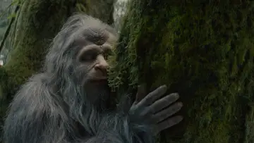 Zasłona do filmu "Zmierzch epoki Wielkiej Stopy" #745837
