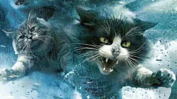 Zasłona do filmu "Catnado" #1786316