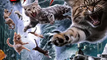 Zasłona do filmu "Catnado" #1786317