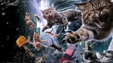 Zasłona do filmu "Catnado" #1786318