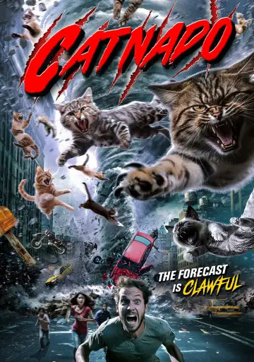 Catnado plakat