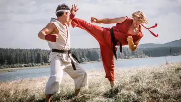 Zasłona do filmu "Street Fighter: Assassin