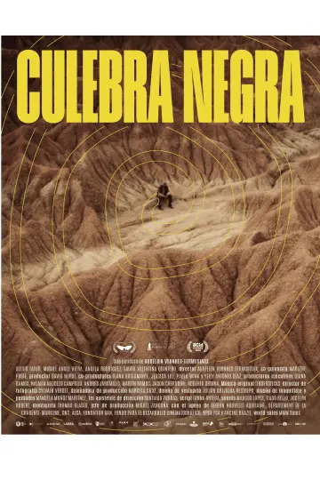 Plakat do filmu "La couleuvre noire" #768598