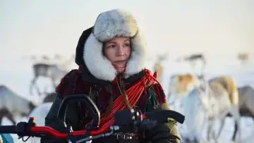 Zasłona do filmu "Kradzież" #458227
