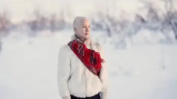 Zasłona do filmu "Kradzież" #458231