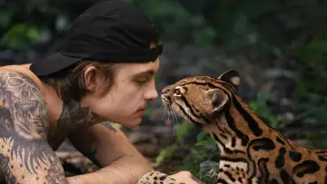 Zasłona do filmu "Ocelot" #1640845