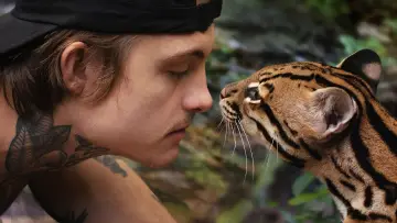 Zasłona do filmu "Ocelot" #1640846