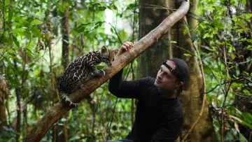 Zasłona do filmu "Ocelot" #1640850