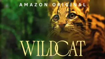 Zasłona do filmu "Ocelot" #1640854