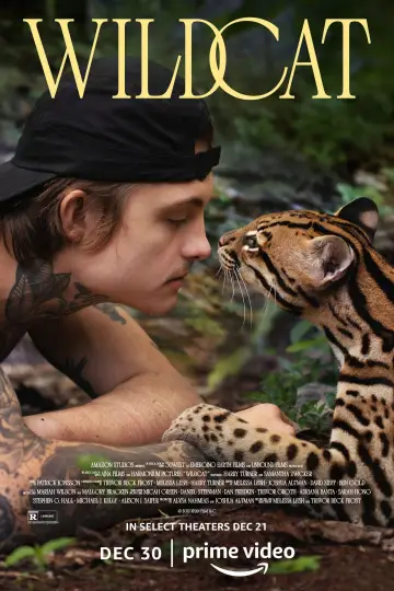 Plakat do filmu "Ocelot" #1640862