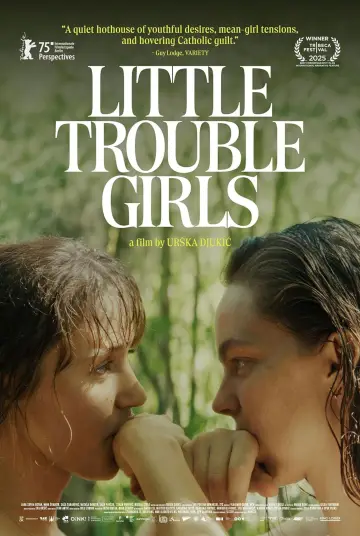 Plakat do filmu "Dziewczyny i ich problemy" #535233