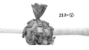 Zasłona do filmu "Setki bobrów" #756253