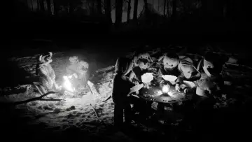 Zasłona do filmu "Setki bobrów" #756255